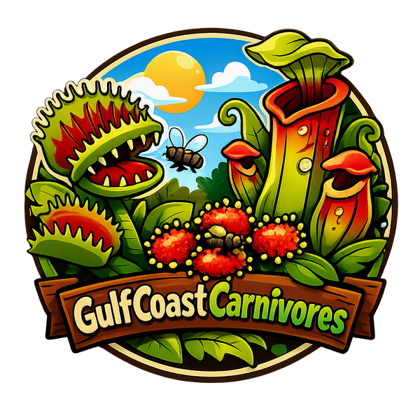 Gulf Coast Carnivores